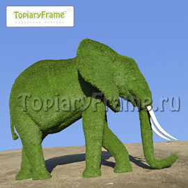 Топиари «Слон» из искусственного газона с бивнями из стеклопластика. Высота 200 см. Фигура установлена в г.Чехов, МО в частной резиденции, 2013г.