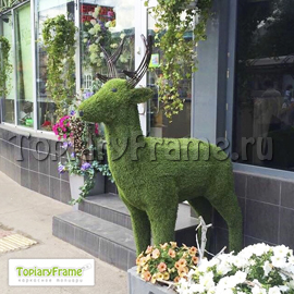  Наша фигура оленя у входа салона цветов «Kaktus Bazar» в Москве на ул.Садовая-Кудринская 3Б