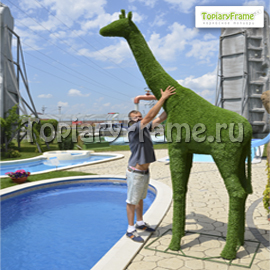 Топиари «Жираф» из искусственной травы Газон. Высота 370 см. Фигура жирафа установлена в г.Чехов, МО в частной резиденции, 2014г.