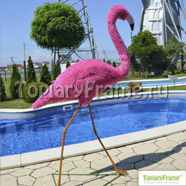 Топиари «Фламинго» из розового газона. Высота 170см. 2014г.