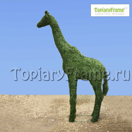 Топиари «Жираф» из искусственной травы Газон.