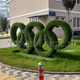 Топиари  «Олимпийские кольца» для жилого комплекса, 2022г